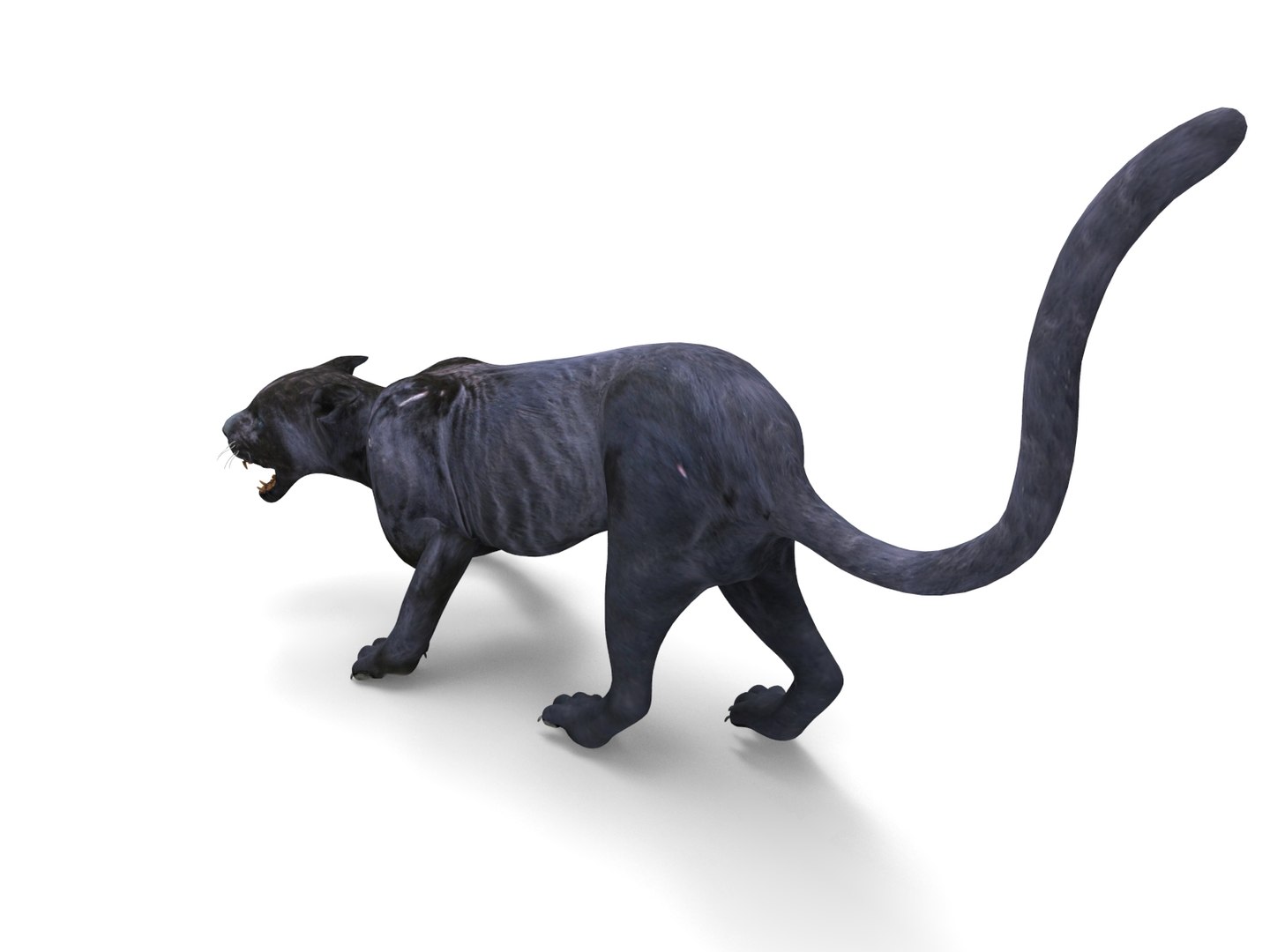 3D panther rigged animation model https://p.turbosquid.com/ts-thumb/xe/6dVB3R/WFQHy1jO/panther.878/jpg/1527143254/1920x1080/fit_q87/8c7d4e01580e360f9aa2c63a94fe6d7e537fe780/panther.878.jpg