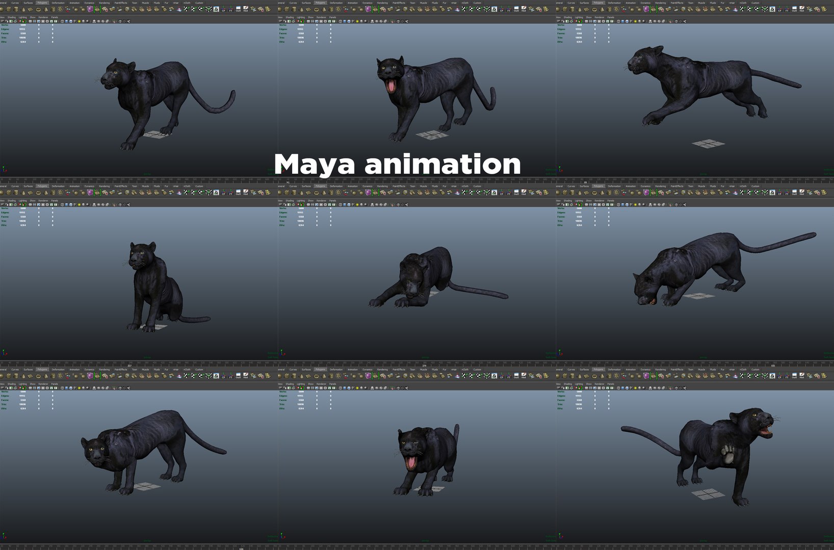 3D panther rigged animation model https://p.turbosquid.com/ts-thumb/xe/6dVB3R/nYmNo6rw/mayaanim/jpg/1527143545/1920x1080/fit_q87/9934f1fddc7f5d7b5c1ddfe5d1c47c80bc126fd3/mayaanim.jpg