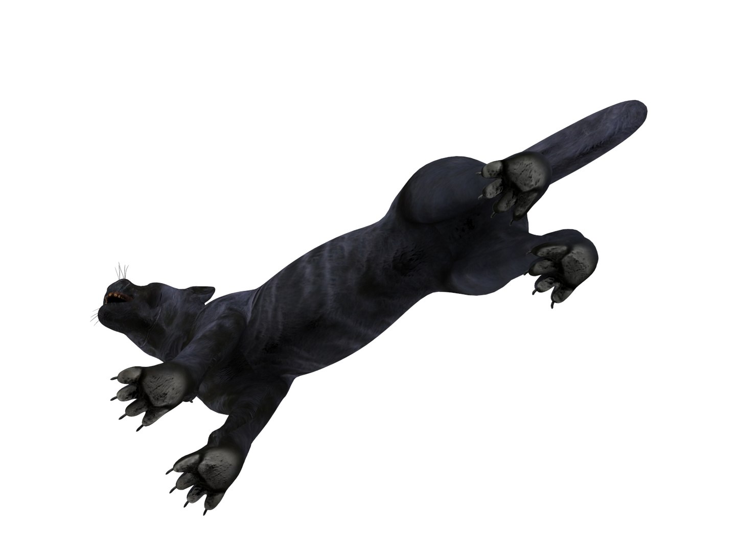 3D panther rigged animation model https://p.turbosquid.com/ts-thumb/xe/6dVB3R/p6c5dGk6/panther.885/jpg/1527143254/1920x1080/fit_q87/59d65036ced96e83bc5ebed9935739ef0283e3be/panther.885.jpg