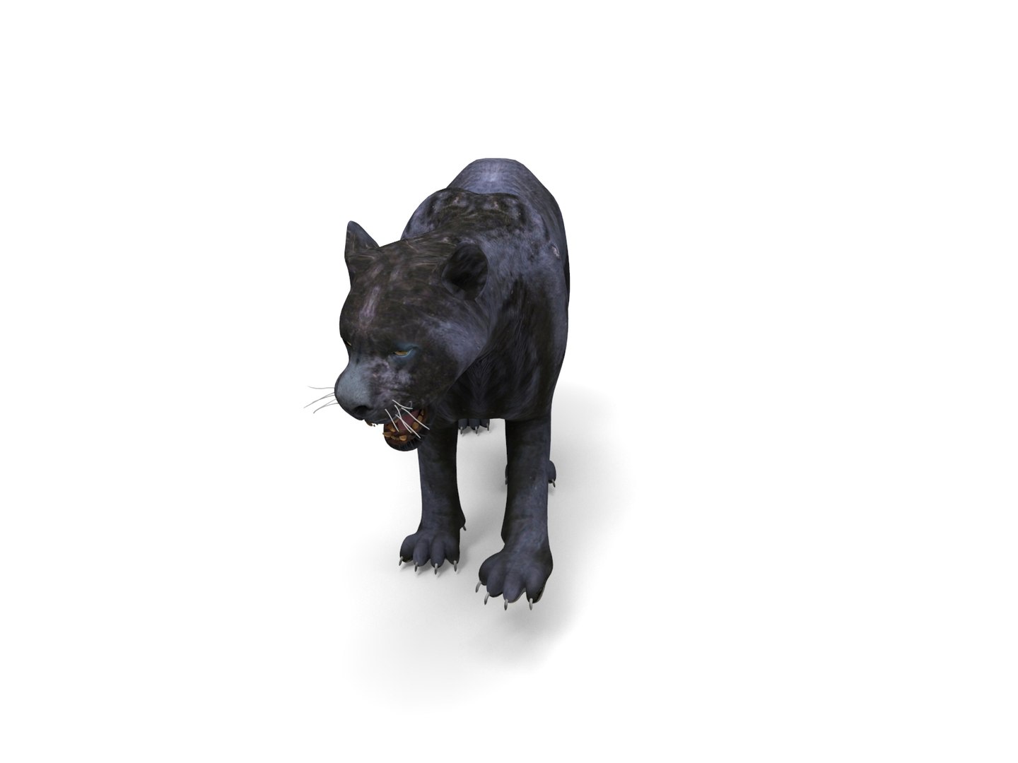 3D panther rigged animation model https://p.turbosquid.com/ts-thumb/xe/6dVB3R/rEHpPxRk/panther.875/jpg/1527143254/1920x1080/fit_q87/879070e5e7a69172ce2941aa3f79ed5cd30fd85b/panther.875.jpg