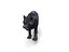 Pantera Negra Rigged & Animated