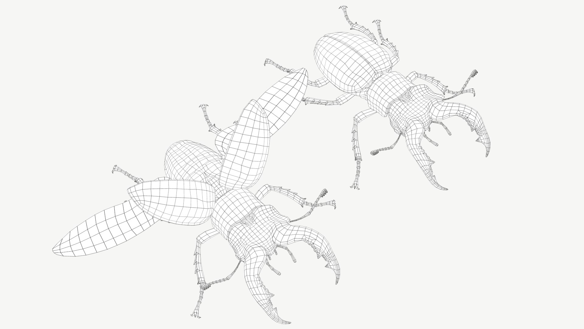 3d obj stag beetle lucanus cervus https://p.turbosquid.com/ts-thumb/xe/agU21u/BZ/1a/png/1614233918/1920x1080/fit_q87/9a569e36f7578f61cb924741c83b596efac5afa6/1a.jpg