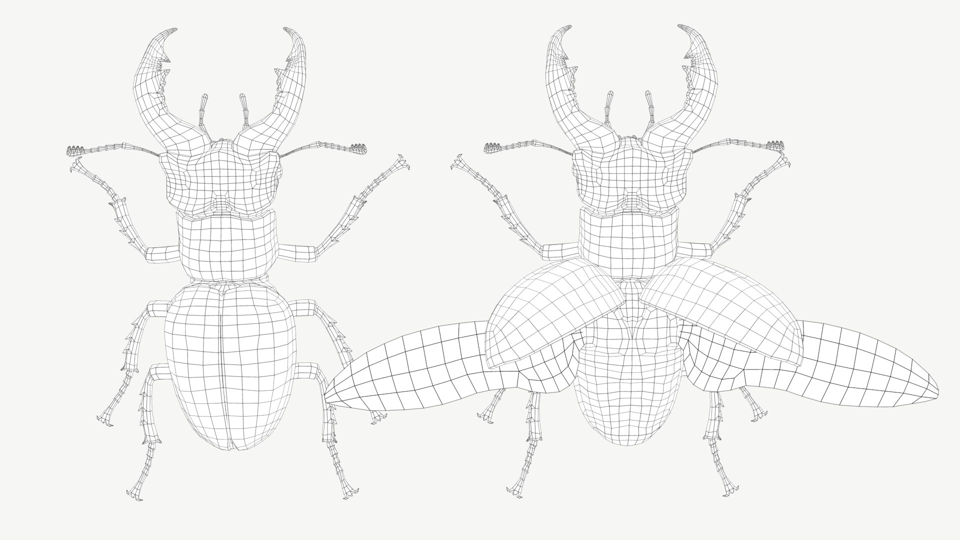 3d obj stag beetle lucanus cervus https://p.turbosquid.com/ts-thumb/xe/agU21u/Bb/6a/png/1614233915/1920x1080/fit_q87/a7364948a60007688a78441dd6d275ce56606a30/6a.jpg