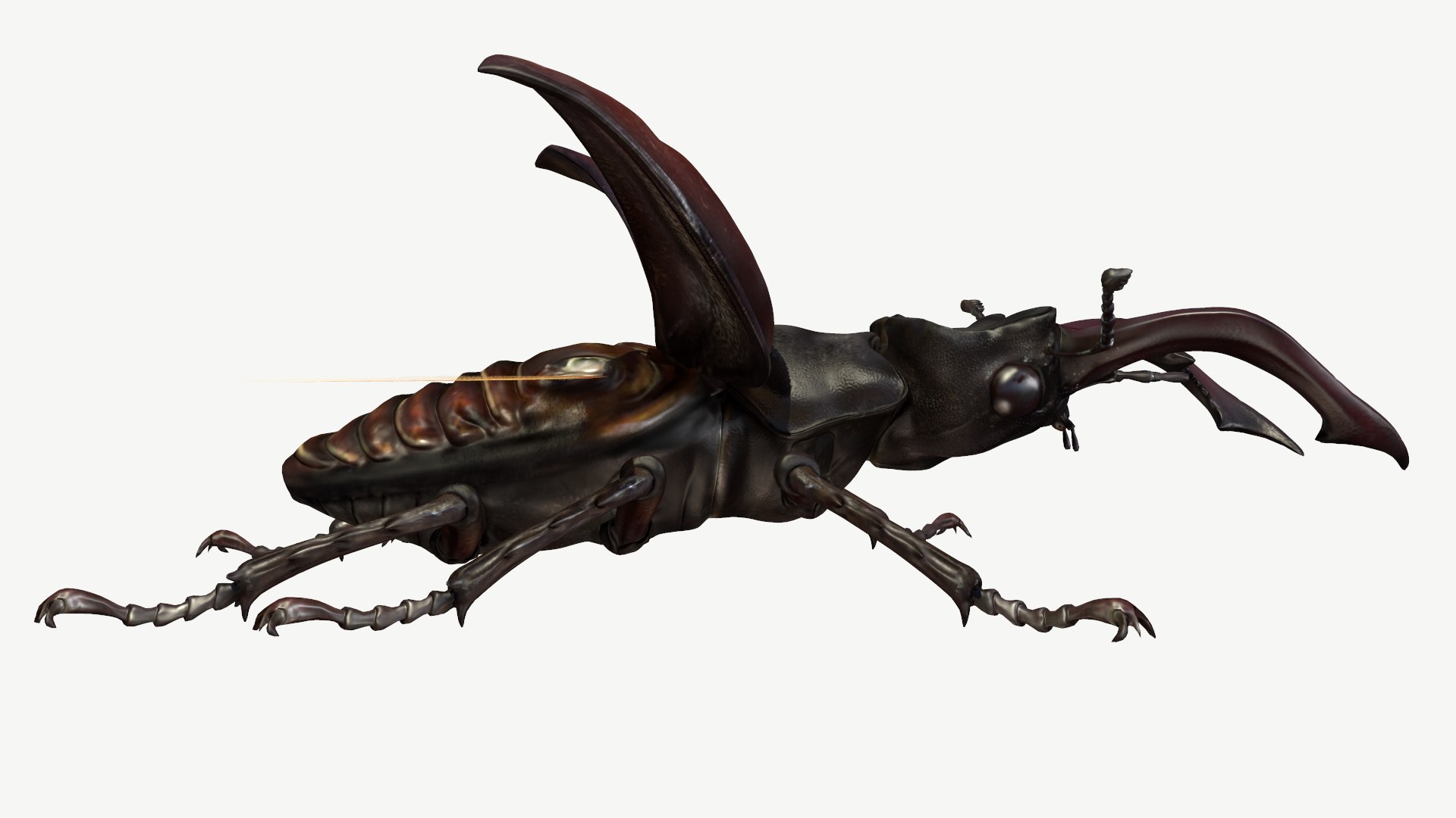 3d obj stag beetle lucanus cervus https://p.turbosquid.com/ts-thumb/xe/agU21u/gX/2/png/1614233916/1920x1080/fit_q87/ebc950989d27dffe6948a4d1fcf5ec820f6b3462/2.jpg