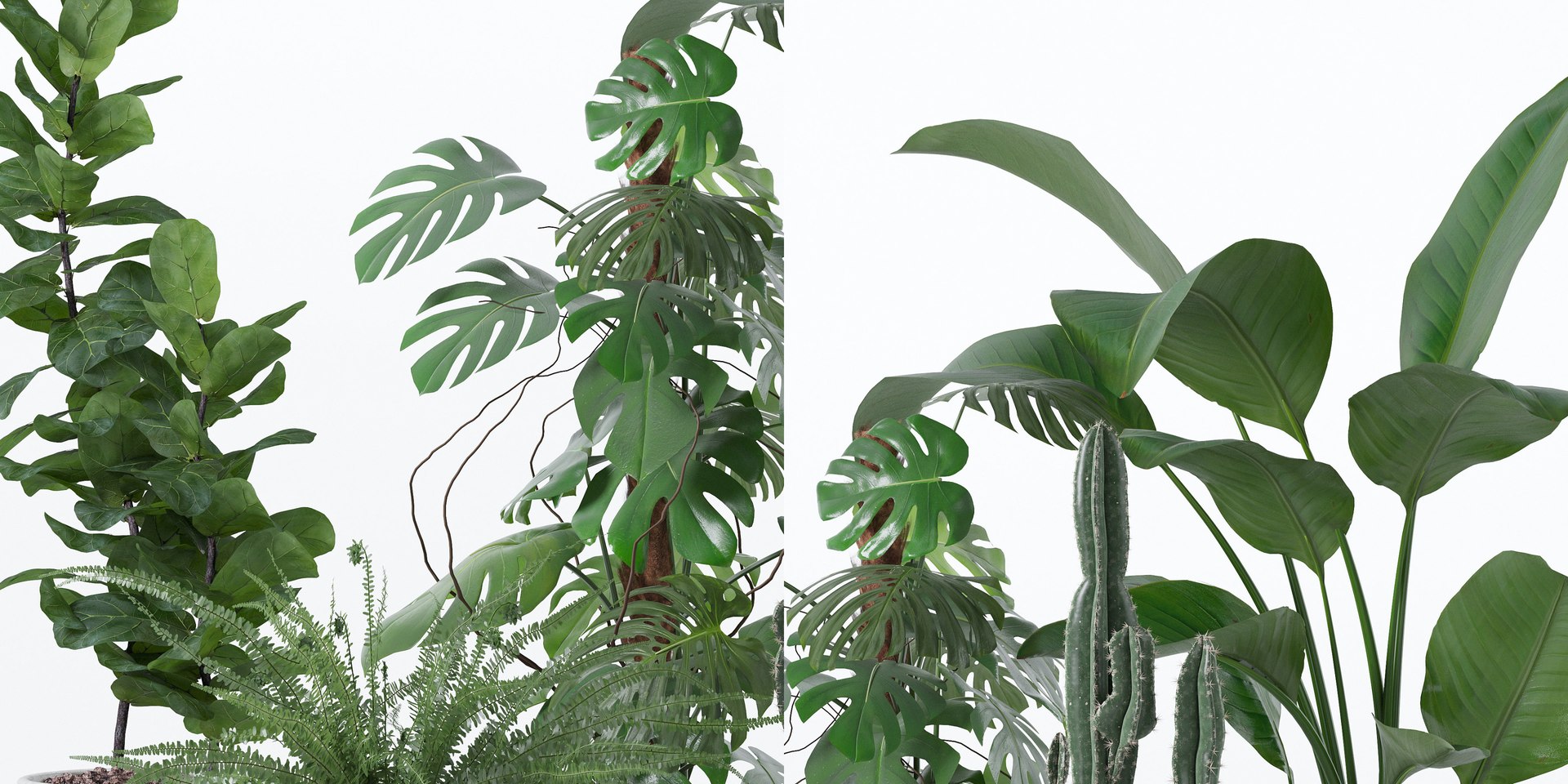 Plants collection 118 3D https://p.turbosquid.com/ts-thumb/xe/bGaYZn/4z/4/jpg/1663230247/1920x1080/fit_q87/93e04fef97aab4b48b950943ed192b82b0a6dfbf/4.jpg