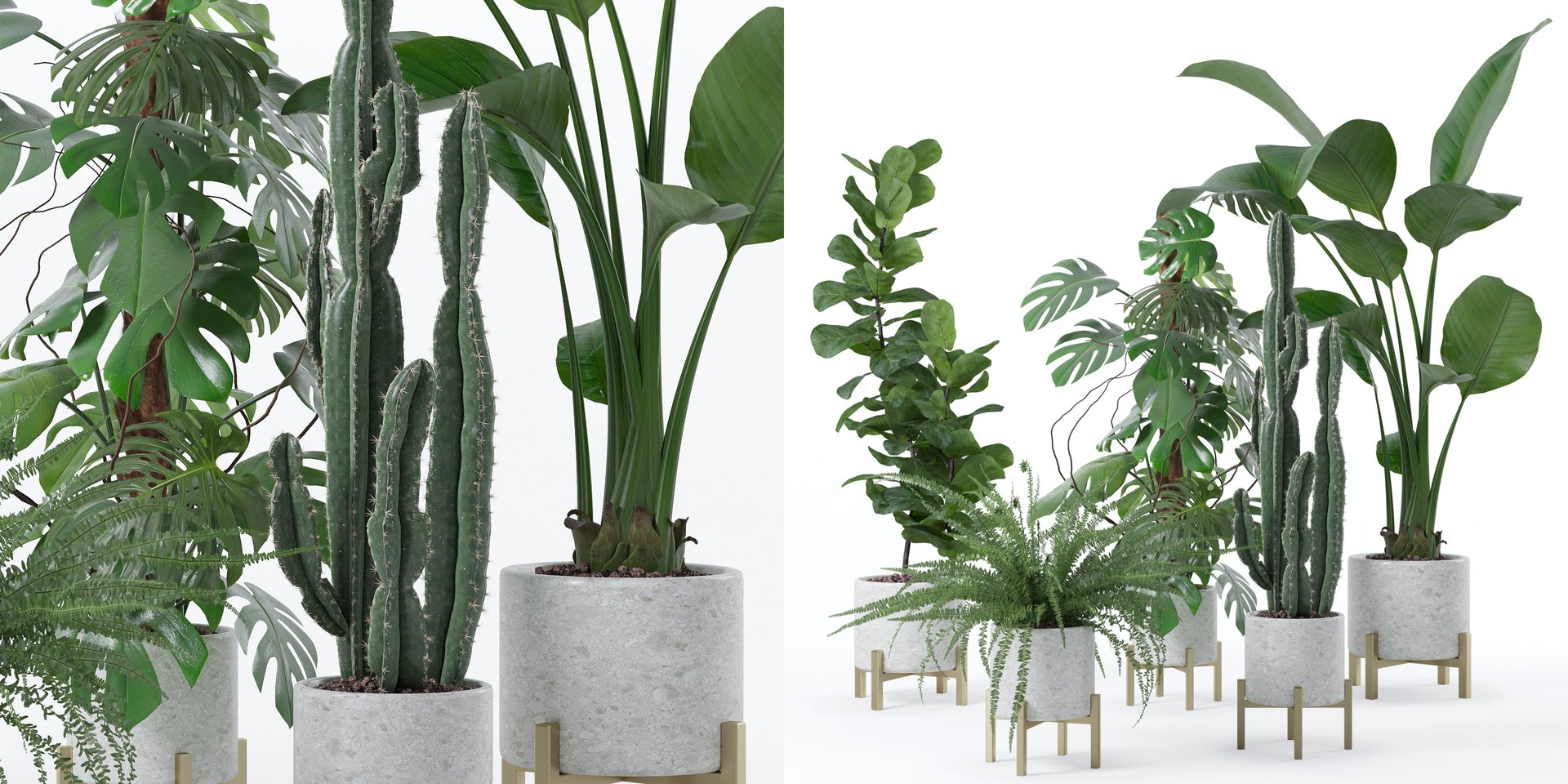 Plants collection 118 3D https://p.turbosquid.com/ts-thumb/xe/bGaYZn/FE/3/jpg/1663230248/1920x1080/fit_q87/731a72f35dfcd1b0bc2e28c77528662180a4e31c/3.jpg