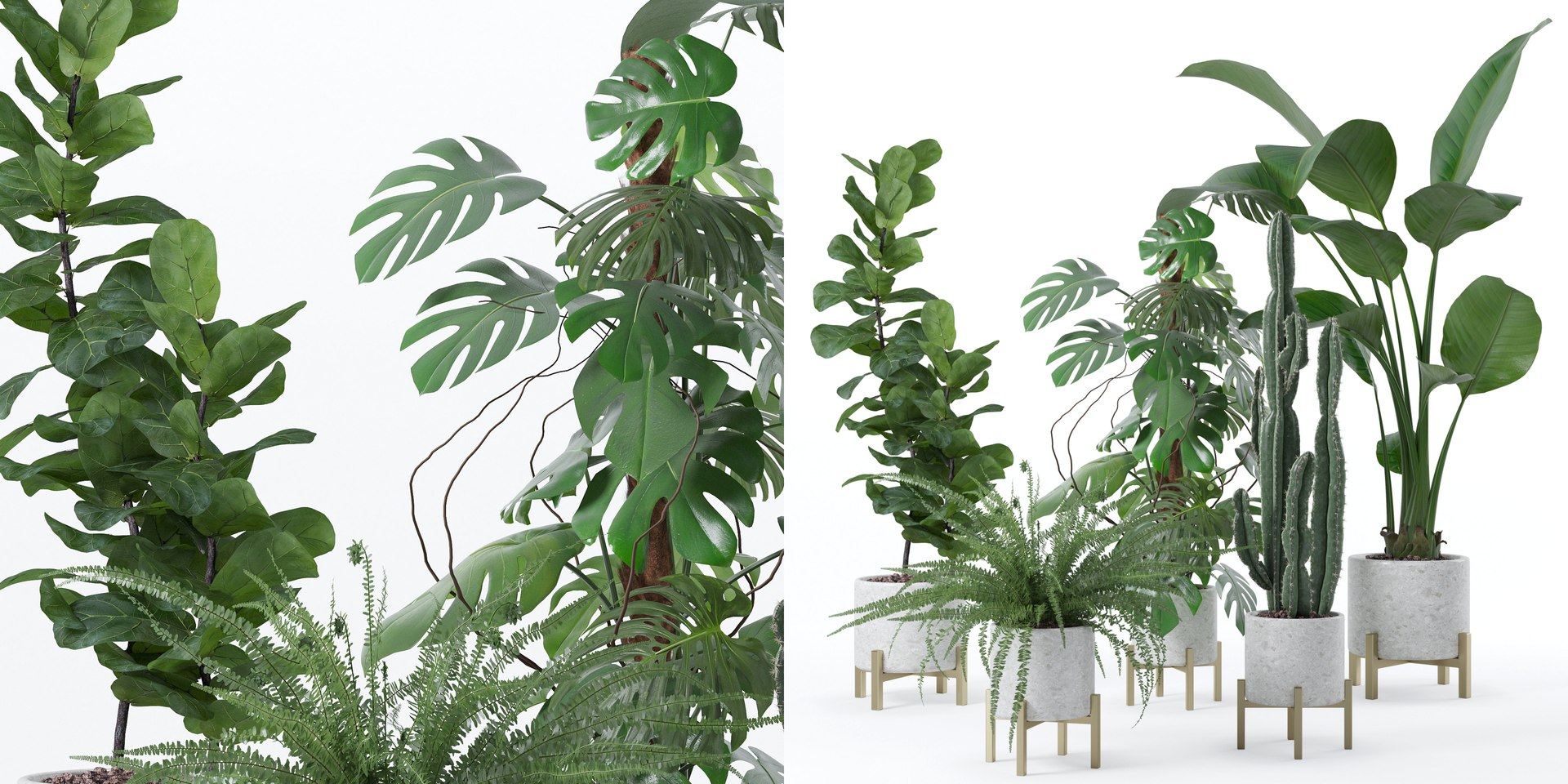 Plants collection 118 3D https://p.turbosquid.com/ts-thumb/xe/bGaYZn/KO/5/jpg/1663230248/1920x1080/fit_q87/28473fb3c8632daf141d8837f810d7df3560f680/5.jpg