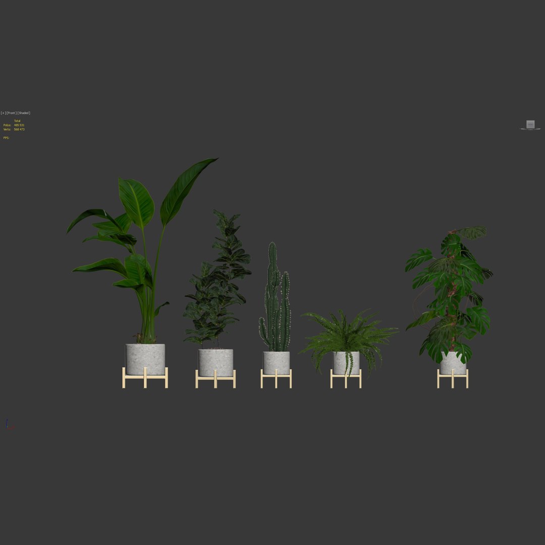 Plants collection 118 3D https://p.turbosquid.com/ts-thumb/xe/bGaYZn/KX/g/jpg/1663230230/1920x1080/fit_q87/adabcfc57707f7cd824c313a676501e51a68c971/g.jpg