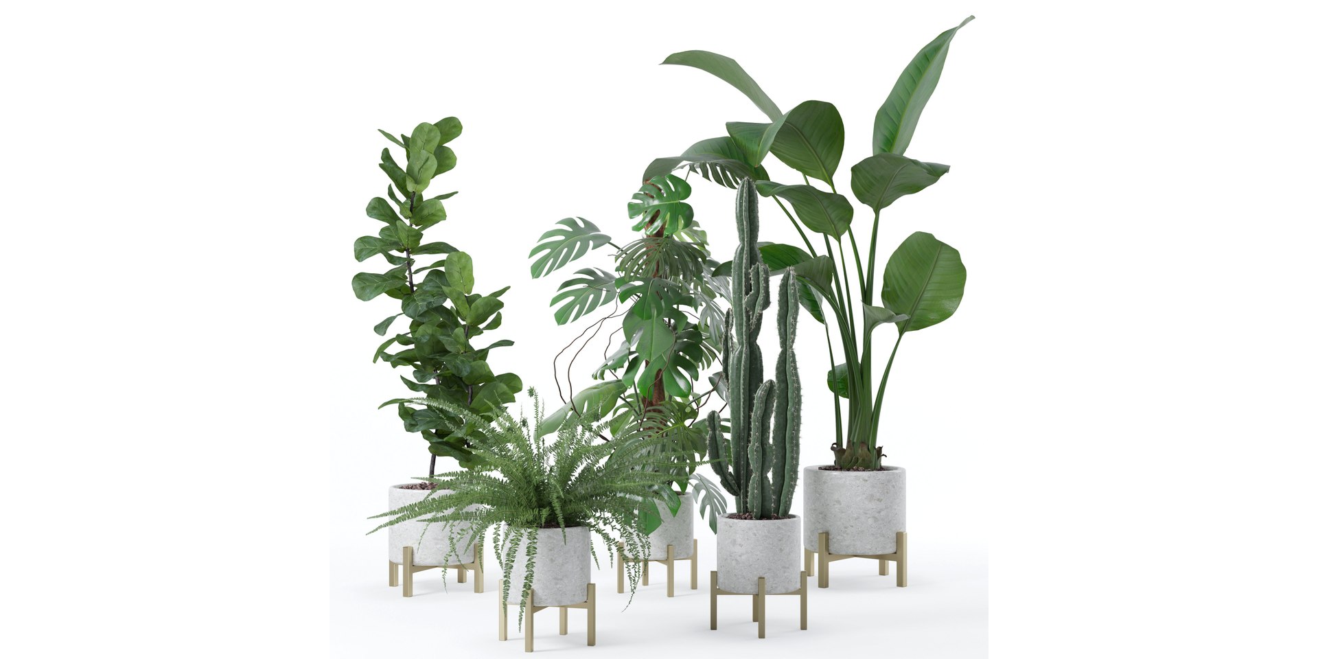 Plants collection 118 3D https://p.turbosquid.com/ts-thumb/xe/bGaYZn/Mh/1/jpg/1663230247/1920x1080/fit_q87/32dfa37fa6e830aba796434d8a48805e9b3a1b9d/1.jpg
