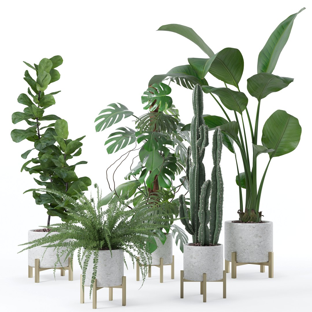 Plants collection 118 3D https://p.turbosquid.com/ts-thumb/xe/bGaYZn/Mh/sb_set_118_preview/jpg/1663230219/1920x1080/fit_q87/9eaaf888aac59944e539638019f81f24f98aa4a8/sb_set_118_preview.jpg