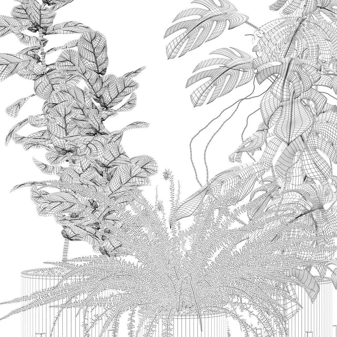 Plants collection 118 3D https://p.turbosquid.com/ts-thumb/xe/bGaYZn/Sr/f/jpg/1663230229/1920x1080/fit_q87/1a06e152bfb03d9d1bc275cccd8b8103d4f2b917/f.jpg