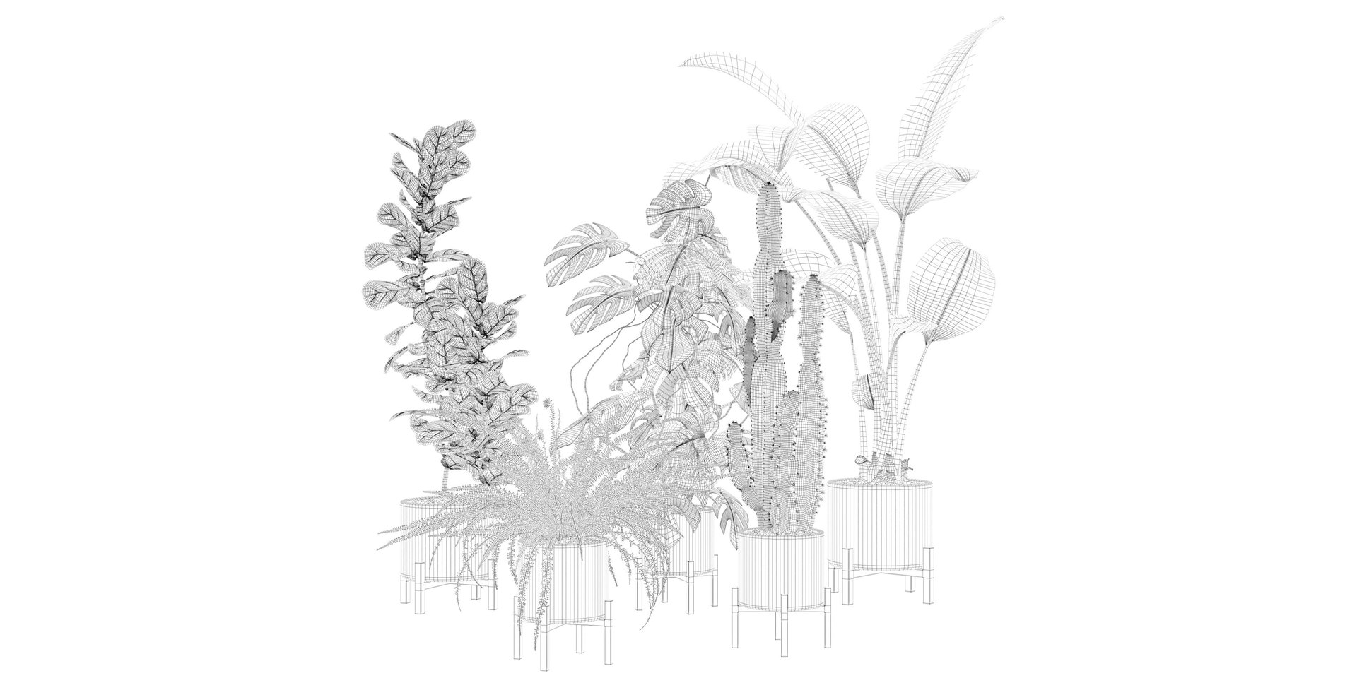 Plants collection 118 3D https://p.turbosquid.com/ts-thumb/xe/bGaYZn/by/2/jpg/1663230247/1920x1080/fit_q87/e0ac27342b980d9d74fb35e282008ccce2b0a508/2.jpg