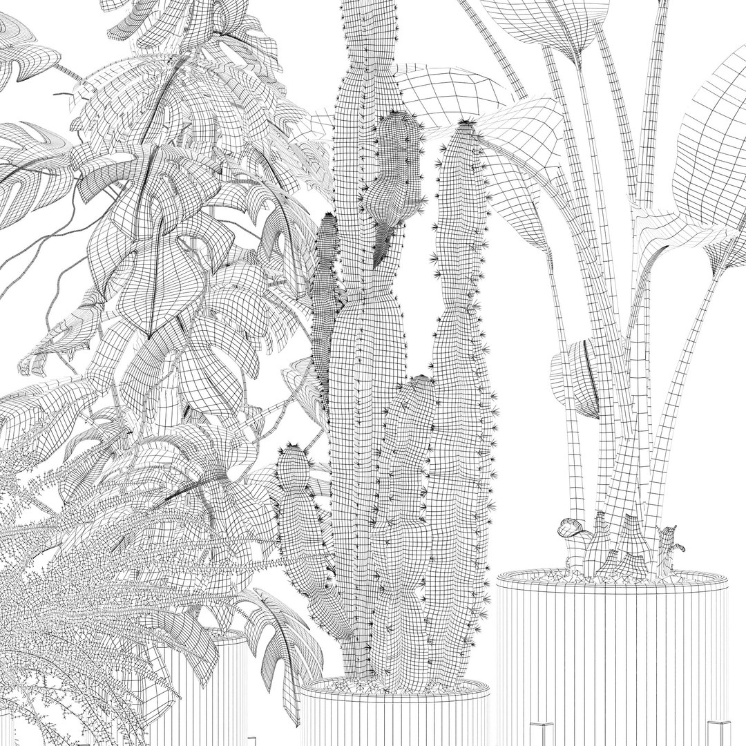Plants collection 118 3D https://p.turbosquid.com/ts-thumb/xe/bGaYZn/r1/e/jpg/1663230229/1920x1080/fit_q87/fee7e50996c59c7824f3142da787075c7e64c675/e.jpg