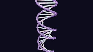 3D Realistic 3D DNA Double Helix Molecular Structure PBR