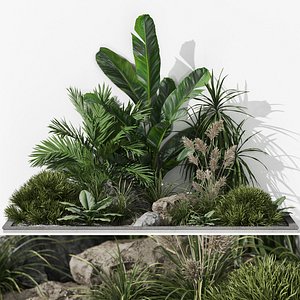 Plants collection 1044