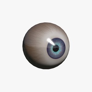 Eye
