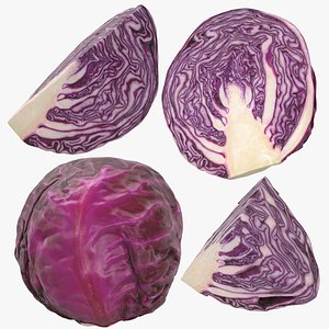 3D model Red Cabbage Collection