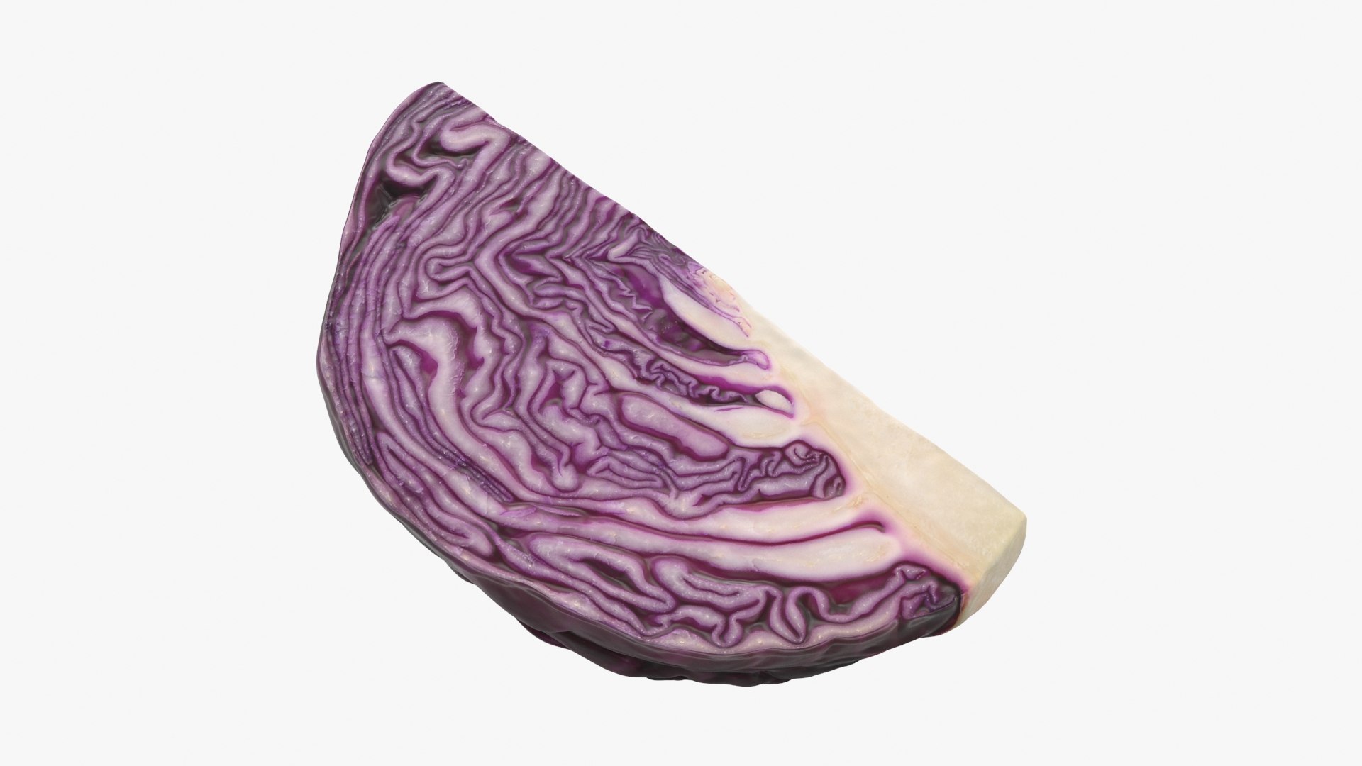 3D Model Red Cabbage Collection - TurboSquid 2160496