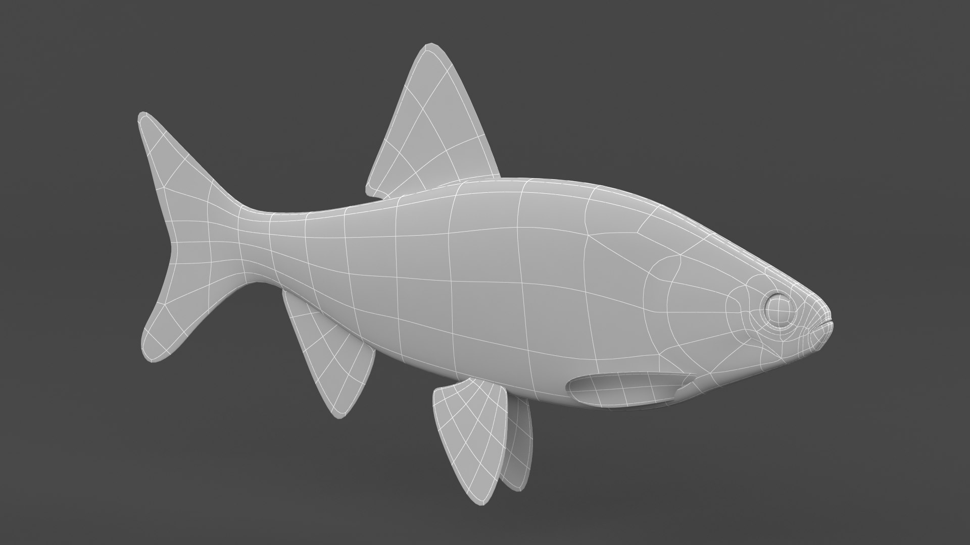 Fish Vobla 3D Model - TurboSquid 2141509