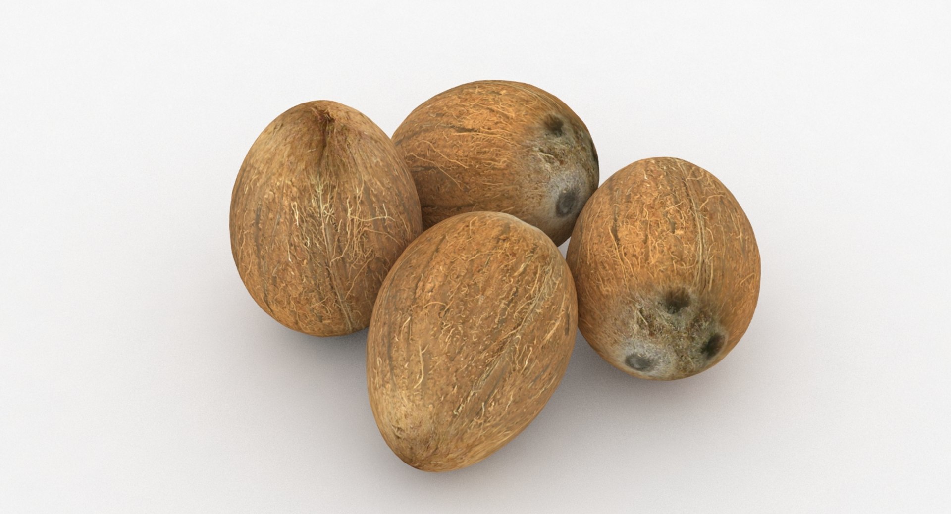 coconut coco 3D https://p.turbosquid.com/ts-thumb/xe/pjHNYh/QIfM5NlN/pic_0004/jpg/1502578347/1920x1080/fit_q87/ef7c6264a929851a764e7b9c75f62830ce8fdfbd/pic_0004.jpg