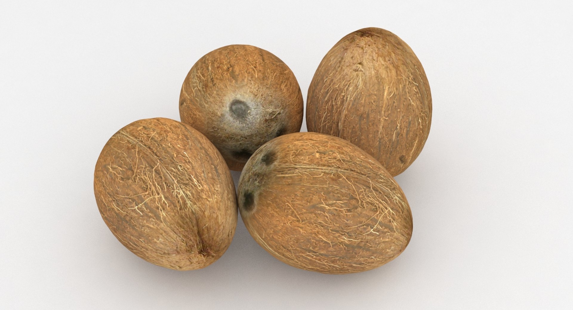 coconut coco 3D https://p.turbosquid.com/ts-thumb/xe/pjHNYh/bmaiveKw/pic_0001/jpg/1502578347/1920x1080/fit_q87/4b0cd27bca8978254e782abd981634226f3bb5a1/pic_0001.jpg