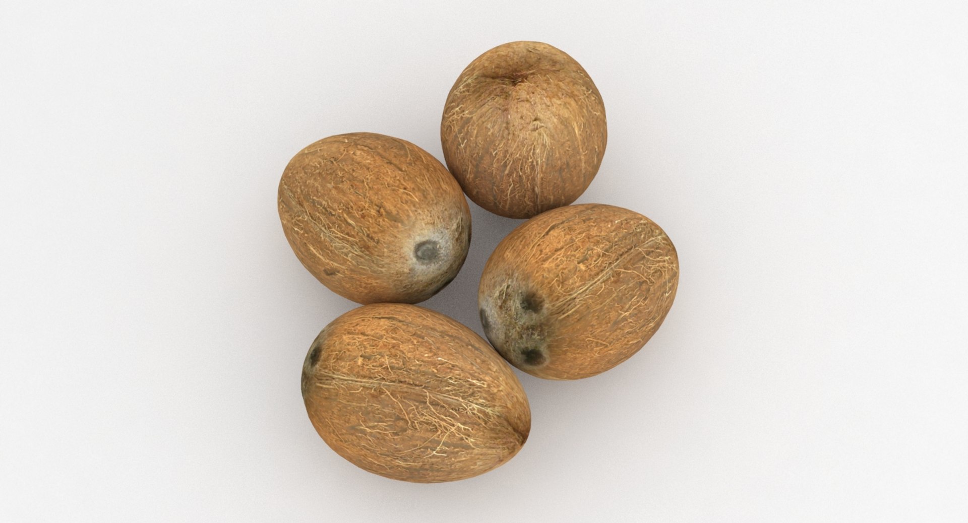 coconut coco 3D https://p.turbosquid.com/ts-thumb/xe/pjHNYh/jIZcCPU6/pic_0006/jpg/1502578347/1920x1080/fit_q87/0c22282c027ad69dd58f0d415e5e75bf154f0ae8/pic_0006.jpg