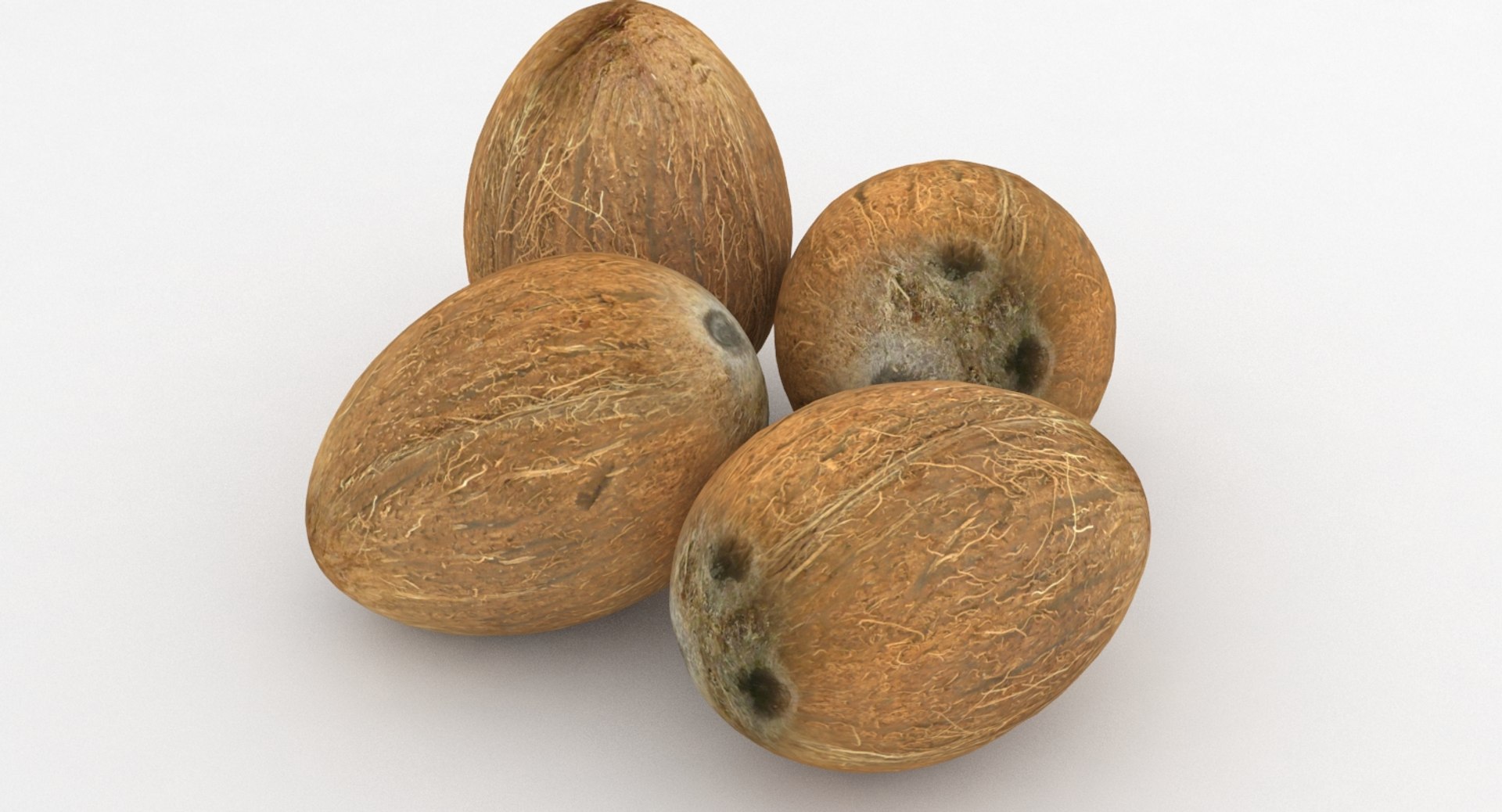 coconut coco 3D https://p.turbosquid.com/ts-thumb/xe/pjHNYh/xDowRzRd/pic_0005/jpg/1502578347/1920x1080/fit_q87/3dbfeded9dcc1ee3f82ef80e5072dd7fa93411d5/pic_0005.jpg