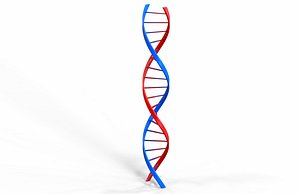 DNA molecule v2