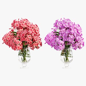 Phlox flowers in a vase set 03 3D model