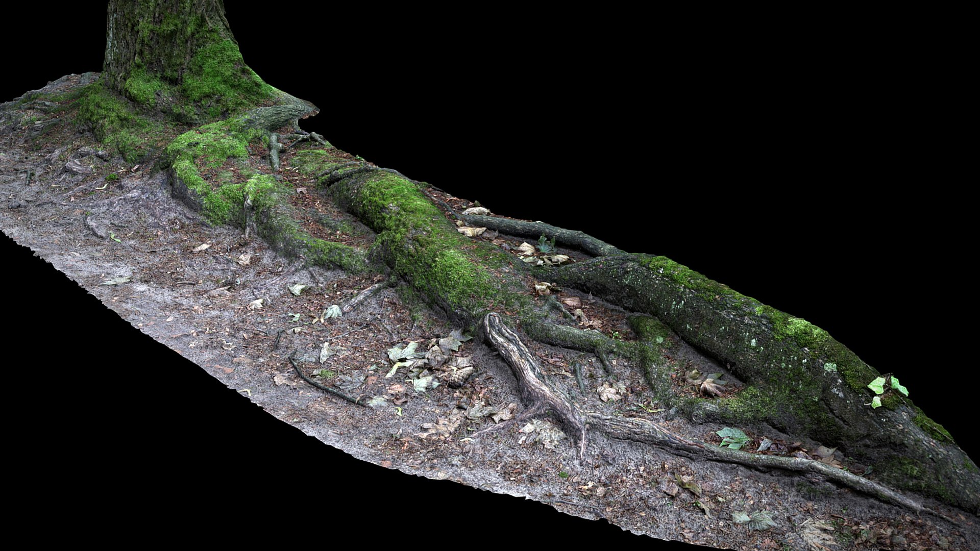 Roots Asphalt Damaged Road Part2 Photogrammetry Model - TurboSquid 2338022