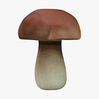 Bolete