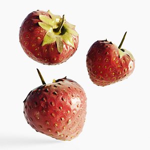 Scanned Strawberry Berry
