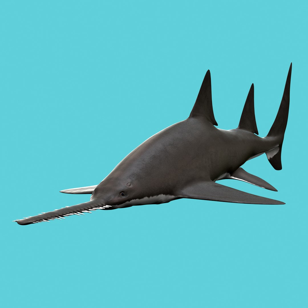 Sawfish Fish 3d Max