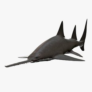 Sawfish