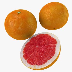 fruits 3D model