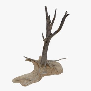 3D Namibian Dry Tree 05 - Scan