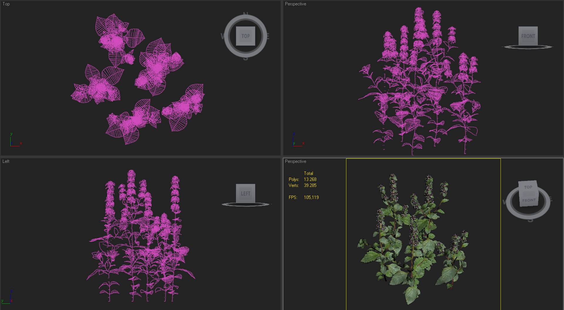 3ds Max Peppermint Mint