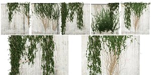 Collection plant vol 414 - blender model