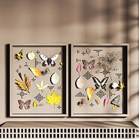 Butterfly and Dried Flower Shadow Box Art Set