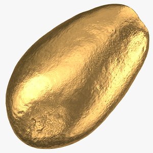 bacon avocado 01 gold 3D model