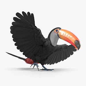 3D Large Toco Toucan Fur Rigged For Blender model