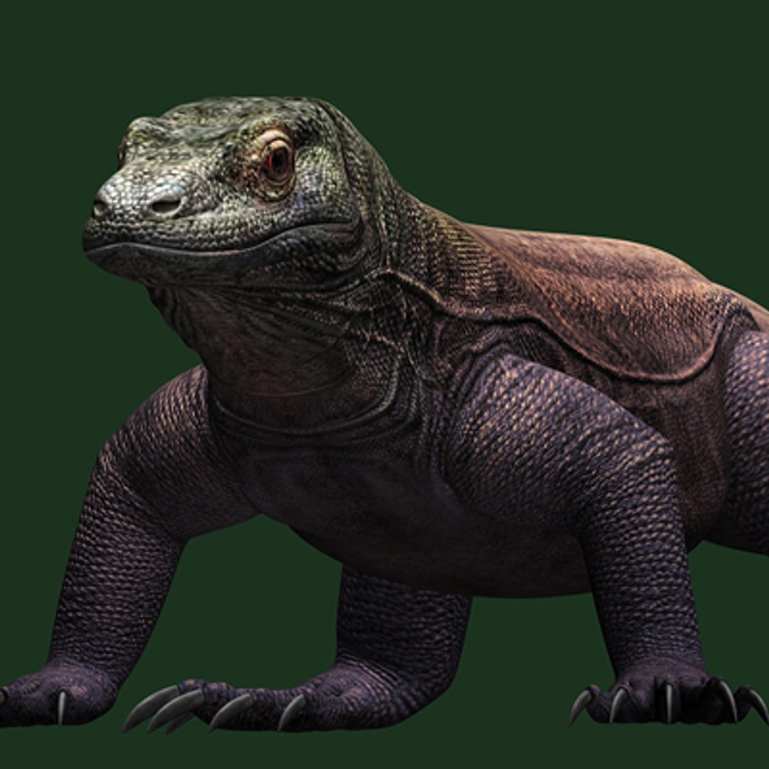 animal 2 3d obj https://p.turbosquid.com/ts-thumb/xf/vYuVfE/G4pYOjd6/komodo/jpg/1246743104/1920x1080/fit_q87/de59030cbf7769dfa7070b90ef6e4dc1d87b6ab5/komodo.jpg