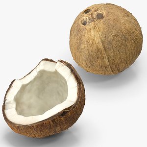 Coconut model