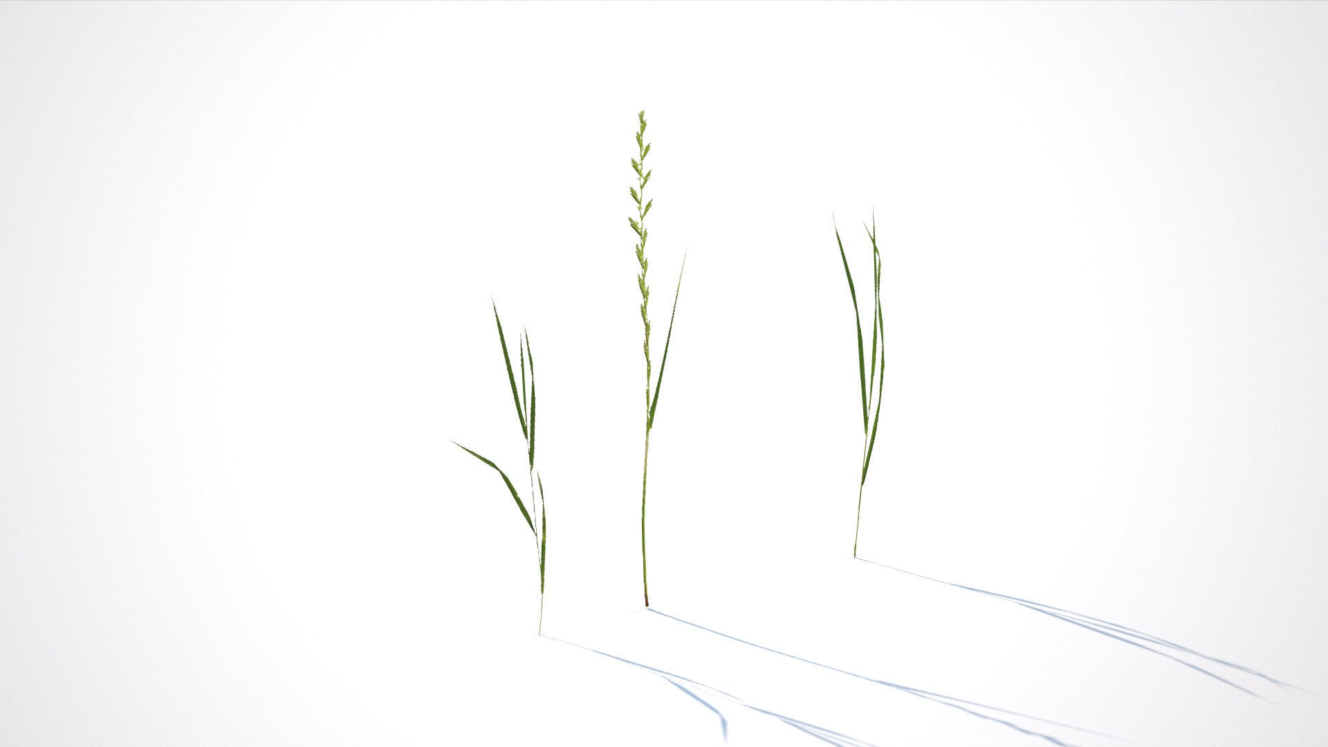 street kit 01 completely 3D https://p.turbosquid.com/ts-thumb/xg/71LiY0/IBmNCBIF/mm_grass_assets_render_14/jpg/1531694022/1920x1080/fit_q87/8928c13a81f9a9512bc7f0c5cbd6eb9e3adfd5f0/mm_grass_assets_render_14.jpg