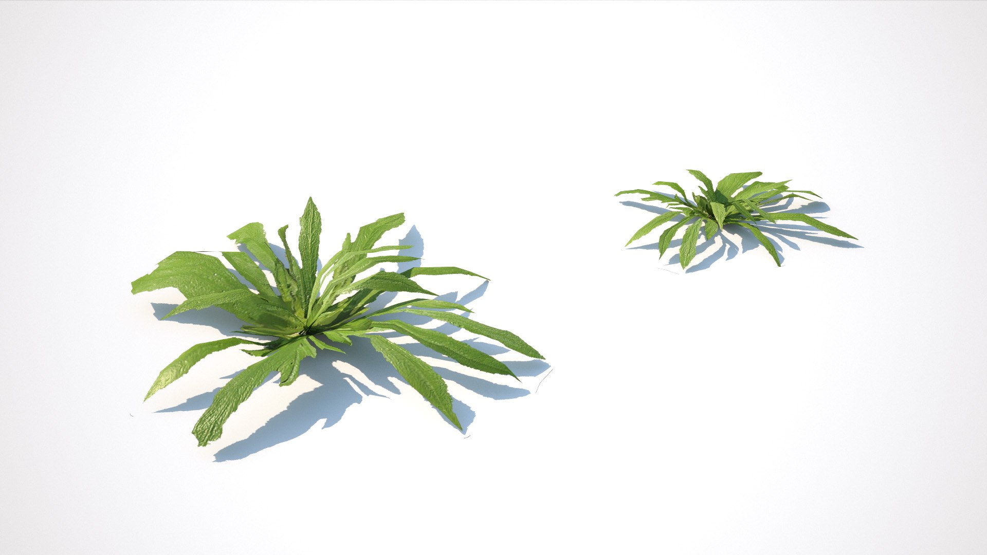 street kit 01 completely 3D https://p.turbosquid.com/ts-thumb/xg/71LiY0/niyWRuFQ/mm_grass_assets_render_12/jpg/1531694022/1920x1080/fit_q87/76972207b4bbf4538fe2c54de399286857d9cc43/mm_grass_assets_render_12.jpg