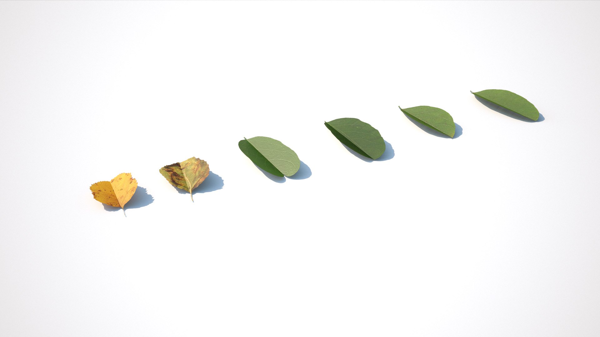 street kit 01 completely 3D https://p.turbosquid.com/ts-thumb/xg/71LiY0/rHdhVNGG/mm_grass_assets_render_08/jpg/1531694022/1920x1080/fit_q87/404e672114dbf6b111f99dbff46c817cded20f9d/mm_grass_assets_render_08.jpg