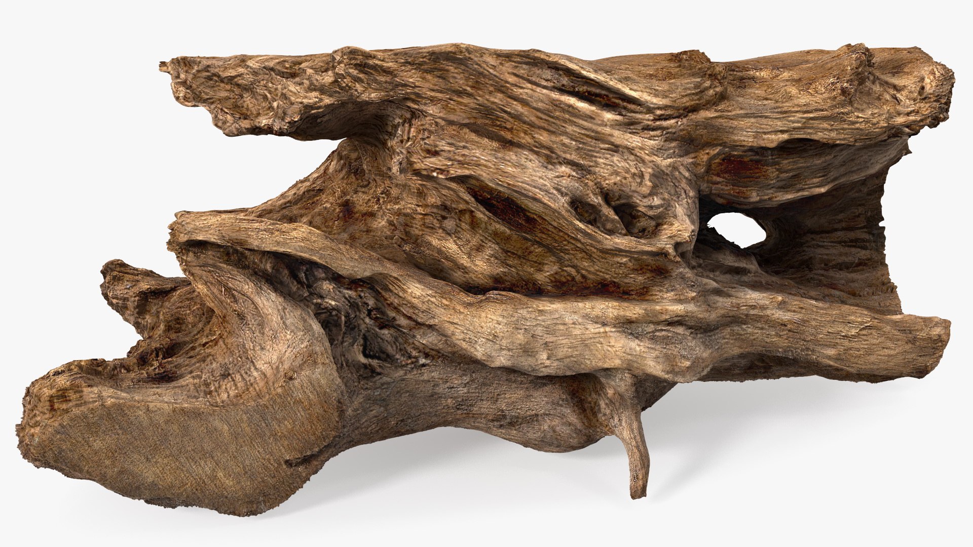 Snag Trunk 3D model preview