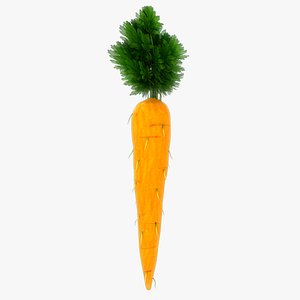 Carrot