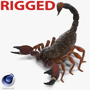 3d model scorpion rigged