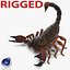 Scorpion Rigged Cinema 4D